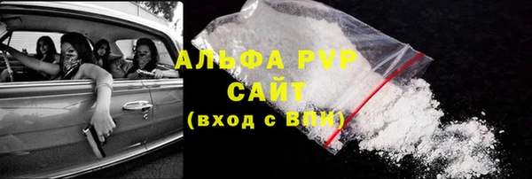 ПСИЛОЦИБИНОВЫЕ ГРИБЫ Ельня