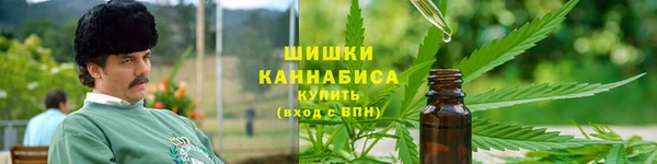 ПСИЛОЦИБИНОВЫЕ ГРИБЫ Ельня