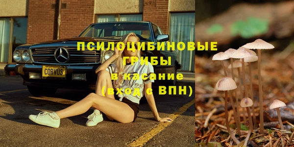 герыч Елабуга
