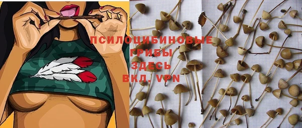 герыч Елабуга