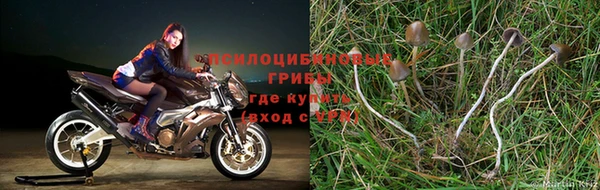 бутират Елизово