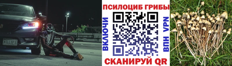 Галлюциногенные грибы прущие грибы  Купить  Котельники 